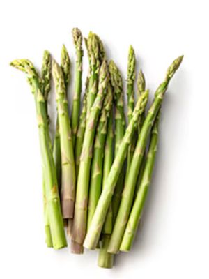 Chřest (Asparagus officinalis)