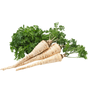 Petržel obecná (Petroselinum crispum)